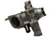 TOYOTA 1610079165 Water Pump
