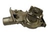 GENERAL MOTORS 12494075 Water Pump