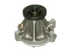 OEM 252281 Water Pump