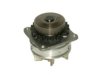 NISSAN 2101031U85 Water Pump