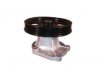 TOYOTA 1610019226 Water Pump