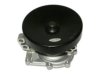SAAB 8822793 Water Pump
