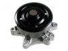 TOYOTA 1610029095 Water Pump