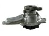  252929 Water Pump