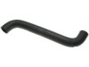 GENERAL MOTORS 15981952 Radiator Upper Hose