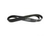 MOTORCRAFT  JK8755 Belt