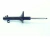 GENERAL MOTORS 18027339 Strut