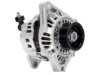 NISSAN 231000M810 Alternator / Generator