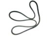 DAYCO  15525DR Belt