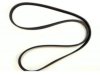 DAYCO  5060538DR Belt