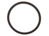  3522676 Thermostat / Thermostat Housing / Water Outlet Seal