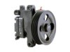 GENERAL MOTORS 19318599 Power Steering Pump