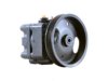 GENERAL MOTORS 19319008 Power Steering Pump