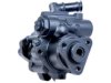 GENERAL MOTORS 19319593 Power Steering Pump