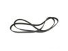 MOTORCRAFT  JK61081 Belt