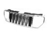 VARIOUS MFR  CH1200317 Grille