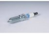 GENERAL MOTORS 12565996 Spark Plug