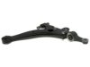GENERAL MOTORS 19187005 Control Arm