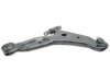 GENERAL MOTORS 19187009 Control Arm