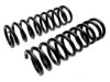 GENERAL MOTORS 3982354 Coil Spring