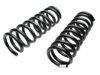 GENERAL MOTORS 3988132 Coil Spring