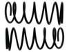 ACDELCO  45H0281 Coil Spring