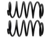 GENERAL MOTORS 22197594KCL Coil Spring