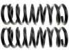 UNION SPRINGS 20416 Coil Spring