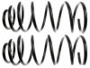 VOLKSWAGEN 357411105P Coil Spring