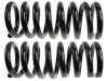 GENERAL MOTORS 19187054 Coil Spring