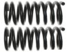UNION SPRINGS 20460 Coil Spring