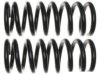 ACDELCO  45H0338 Coil Spring