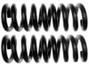GENERAL MOTORS 19237856 Coil Spring