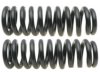 GENERAL MOTORS 19240797 Coil Spring