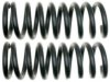 GENERAL MOTORS 19241933 Coil Spring
