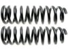 GENERAL MOTORS 19261980 Coil Spring