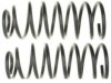 GENERAL MOTORS 19264656 Coil Spring