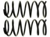 GENERAL MOTORS 10376190 Coil Spring