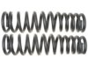 GENERAL MOTORS 19255395 Coil Spring