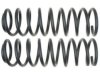GENERAL MOTORS 19255403 Coil Spring