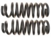 GENERAL MOTORS 19255641 Coil Spring