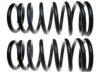 GENERAL MOTORS 19240063 Coil Spring