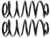 GENERAL MOTORS 19187063 Coil Spring