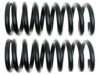GENERAL MOTORS 10412897 Coil Spring