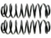 GENERAL MOTORS 15097378 Coil Spring