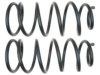 GENERAL MOTORS 19255385 Coil Spring