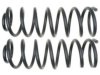 GENERAL MOTORS 19255400 Coil Spring