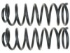 GENERAL MOTORS 19255402 Coil Spring