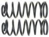 GENERAL MOTORS 19255404 Coil Spring