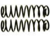 GENERAL MOTORS 19255623 Coil Spring